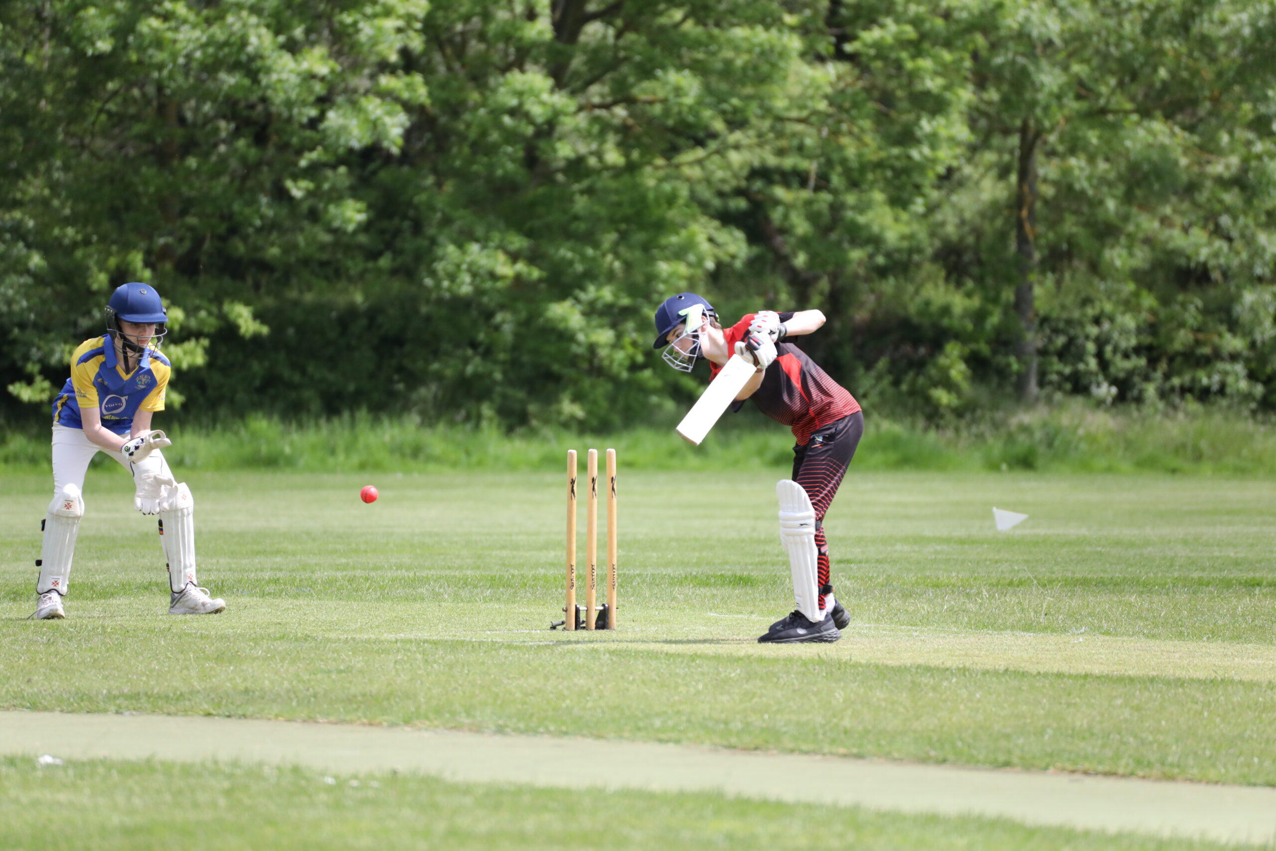 Ben isaacs batting for Guildford City Cricket Youth Project